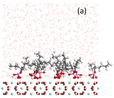 image (a) 2-Ethylhexyl phosphate behavior