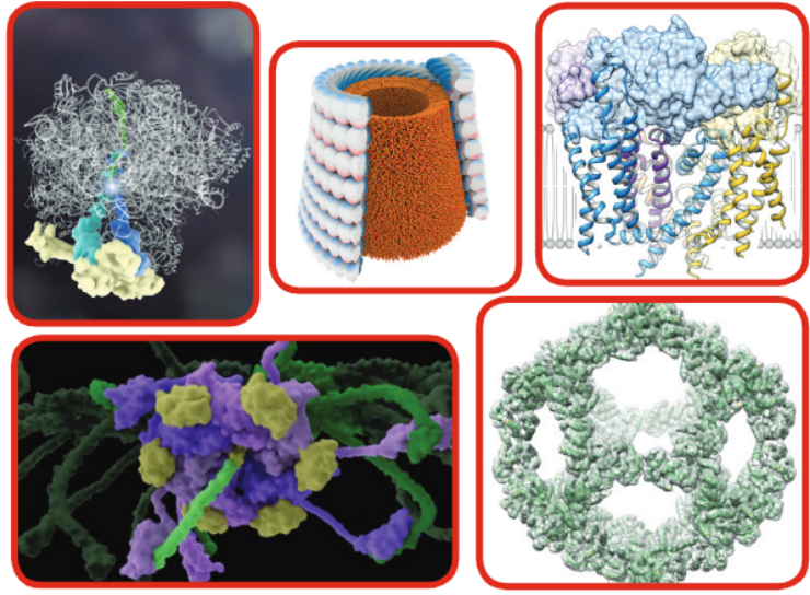 CryoEM collection