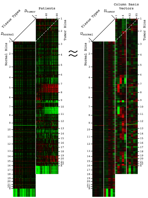Column Basis Vectors comparing Normal Tissue Bin Types to Tumor Bins