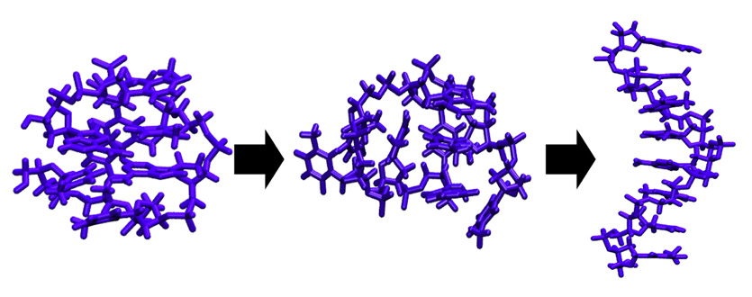 Depiction of DNA structure